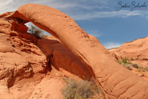 Cobra Arch - Vermillion Cliffs