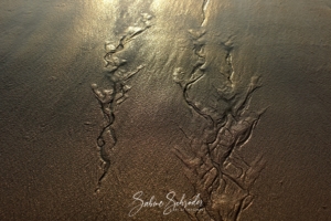 Goldfarbener Strandsand mit komplexen natürlichen Mustern, die durch zurückweichende Wellen geformt werden. Im Sonnenlicht erscheinen die Texturen glänzend und glatt. Diese Szene erinnert an „Fotos zum Träumen“. Die Signatur unten lautet „Sabine Schröder“.