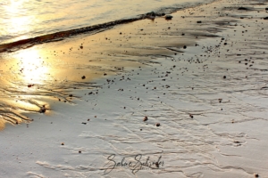 Eine ruhige Strandszene bei Sonnenaufgang oder Sonnenuntergang mit goldenem Licht, das sich im nassen Sand spiegelt. Das Ufer ist mit kleinen Kieselsteinen und Muscheln übersät, und das zurückweichende Wasser hinterlässt feine Linien. Diesen malerischen Moment fängt Fotos zum Träumen ein, mit einer Signatur am unteren Bildrand.