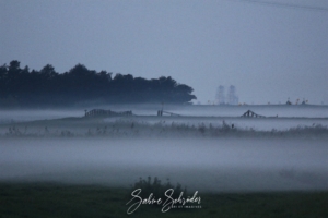 Eine neblige Landschaft mit dichtem Nebel, der ein Feld einhüllt und die Sicht verdeckt. Im Hintergrund sind Bäume und ein Zaun als Silhouetten zu sehen, während der Vordergrund von einer dicken Nebelschicht bedeckt ist. Das Bild mit dem Titel „Fotos zum Träumen“ trägt unten die Signatur „Sabine Schröder“.
