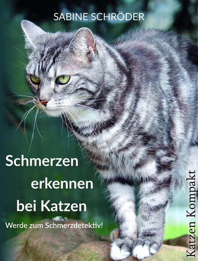 Buchcover Schmerzen erkennen bei Katzen von Sabine Schröder mit einer grau-getigerten Katze auf einem Stein.
